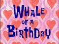 Titlecard-Whale of a Birthday.jpg