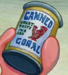 Canned-Coral.jpg