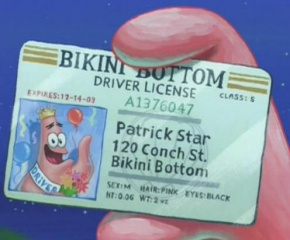 Patricks fuehrerschein.jpg