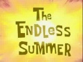 The Endless Summer.jpg