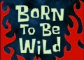 Titlecard-Born To Be Wild.jpg